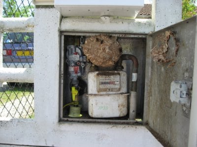 Comment se débarrasser d'un nid de guêpes dans un compteur à gaz ? SOS Nuisibles 85 intervient !