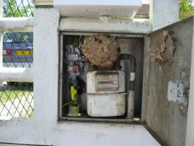 présence d'un nid de guêpes ou de frelons dans un compteur de gaz