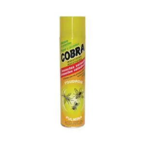 présence d'un nid de guêpes ou de frelons : traitement insecticide