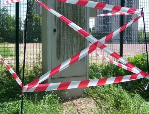 Que faire en présence d&rsquo;un nid de guêpes ou de frelons ?