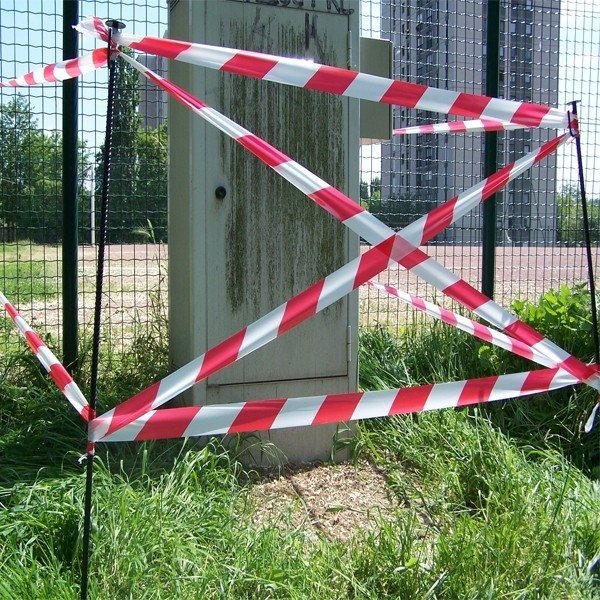 présence d'un nid de guêpes ou de frelons